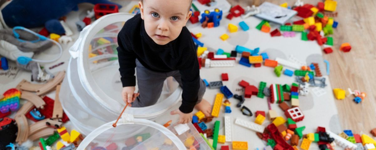 Jucării pentru copii de 1 an, precum: lego, jucării din lemn și plușuri.