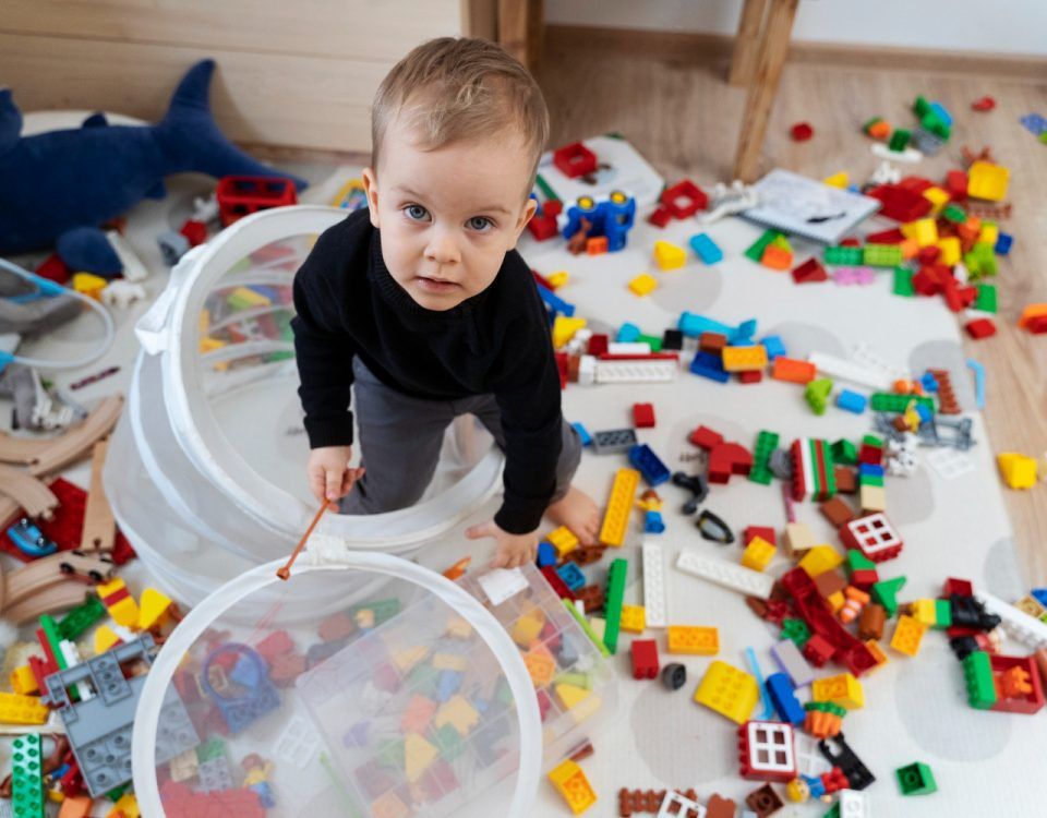 Jucării pentru copii de 1 an, precum: lego, jucării din lemn și plușuri.